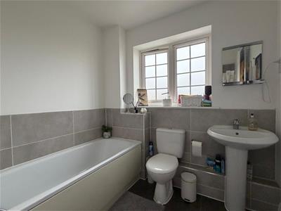 Picture 11